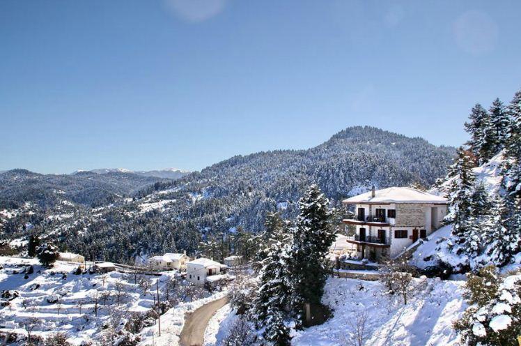 Xenonas Vasilikou Hotel วัลเตสซินิโก ภายนอก รูปภาพ